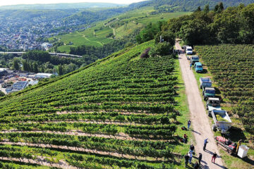 Weingut Beiser