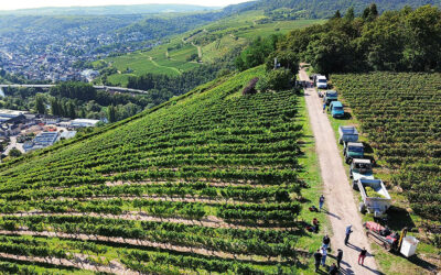 Weingut Beiser