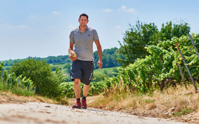 Weingut Manz