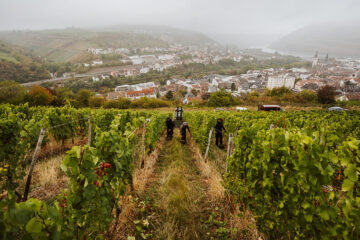 Weingut Hemmes