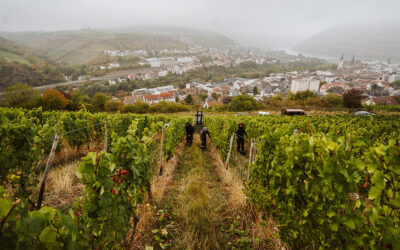 Weingut Hemmes